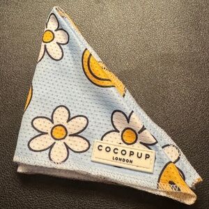 Smiley Pawty Tent Dog Bandana